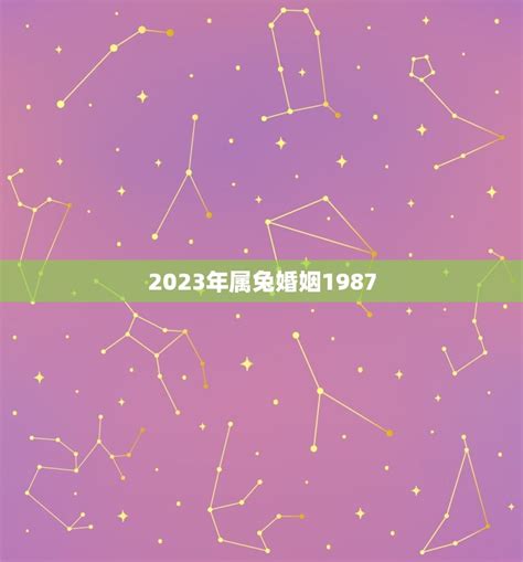 2023兔年運程1987|属兔1987年出生的人2023年全年运程运势